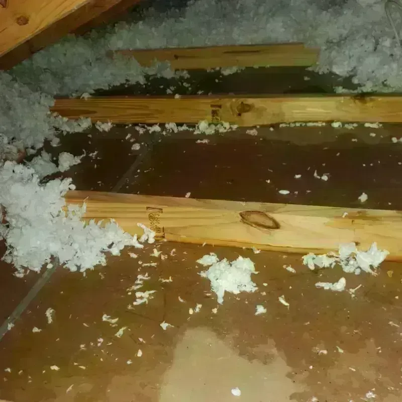 Attic Water Damage in Huron, CA