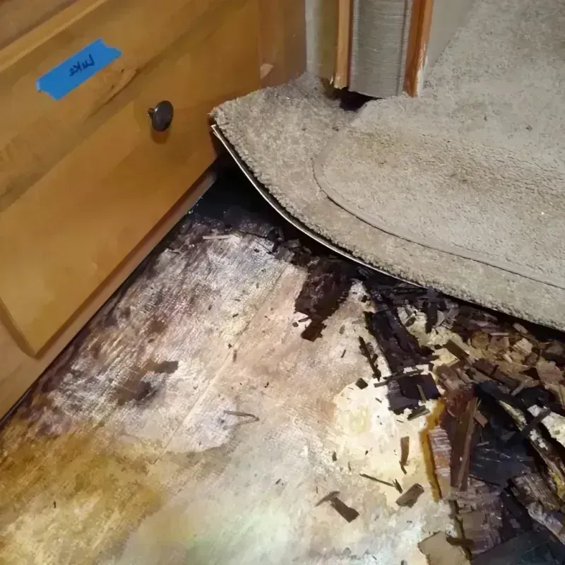 Wood Floor Water Damage in Huron, CA